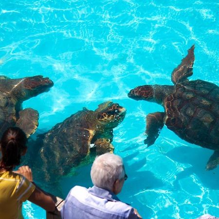 Pousada Barra Linda フロリアノポリス エクステリア 写真